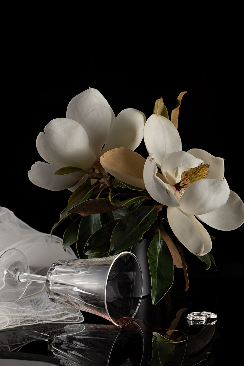 #ilonabantaphotography #magnolia #productphotography #lifestylephotography #flowerphotography
